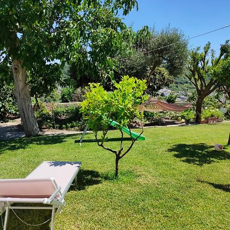 Il Giardino Apartment Barano d'Ischia Luaran gambar