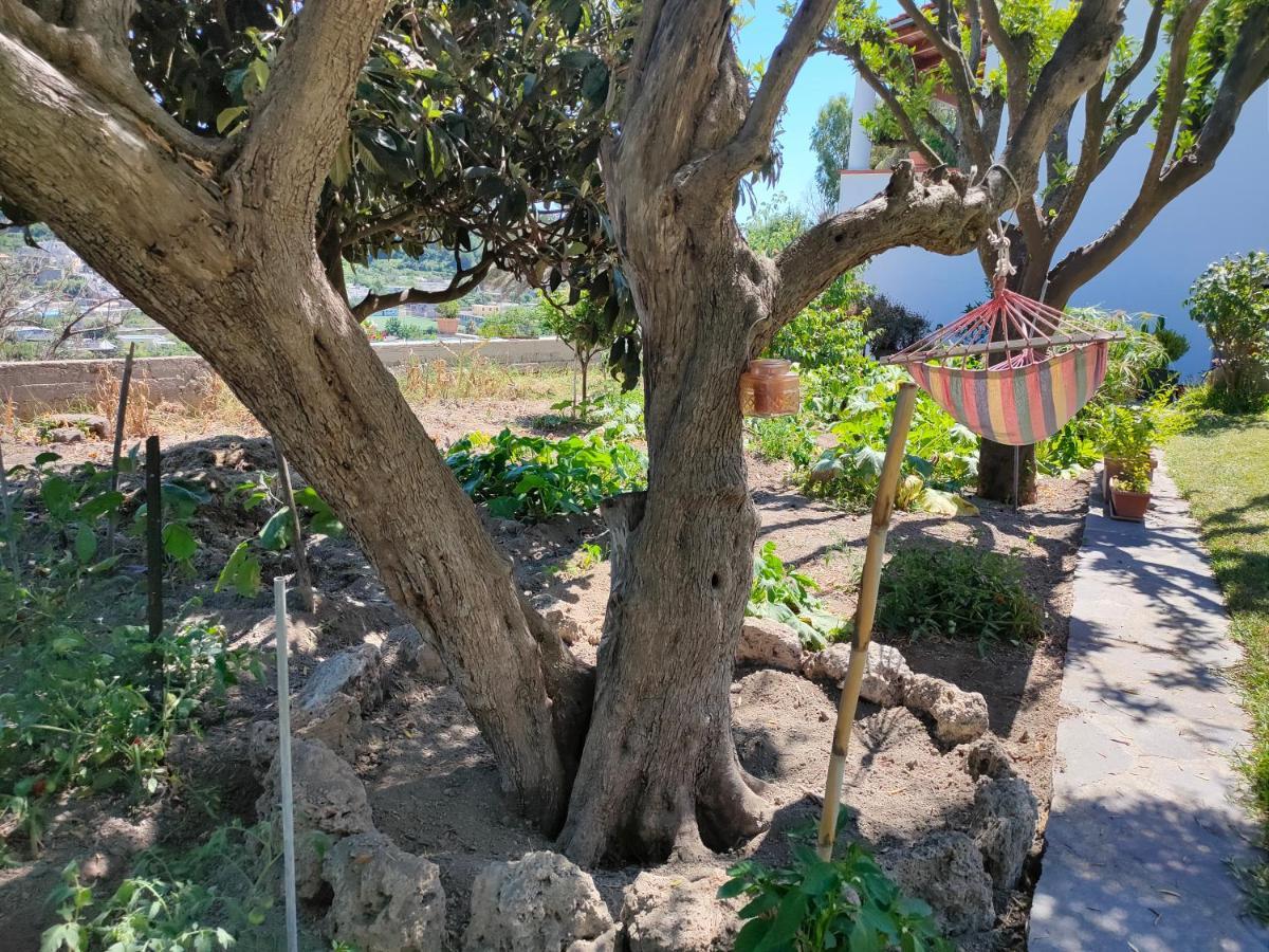 Il Giardino Apartment Barano d'Ischia Luaran gambar