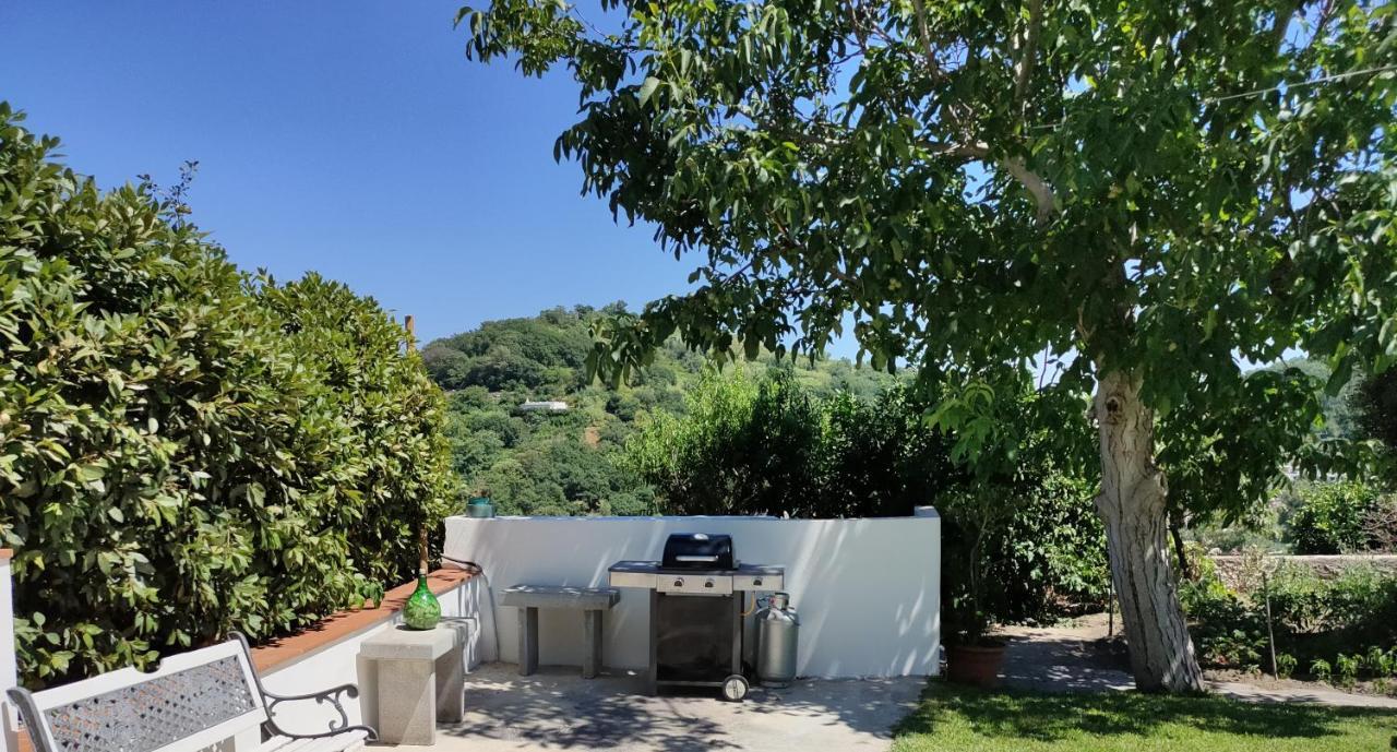 Il Giardino Apartment Barano d'Ischia Luaran gambar